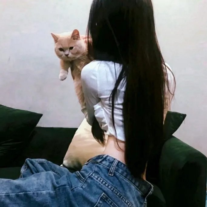 通往美好小径