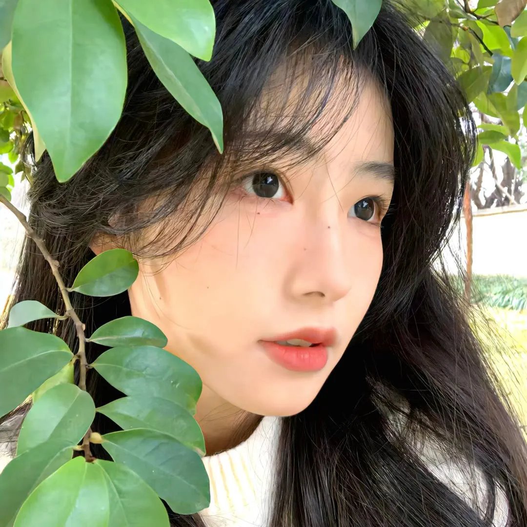 后窗的女人